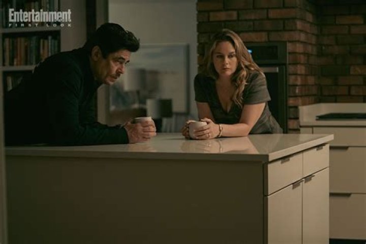 Alicia Silverstone And Benicio Del Toro's Interracial Romance: Breaking Barriers, Facing Challenges