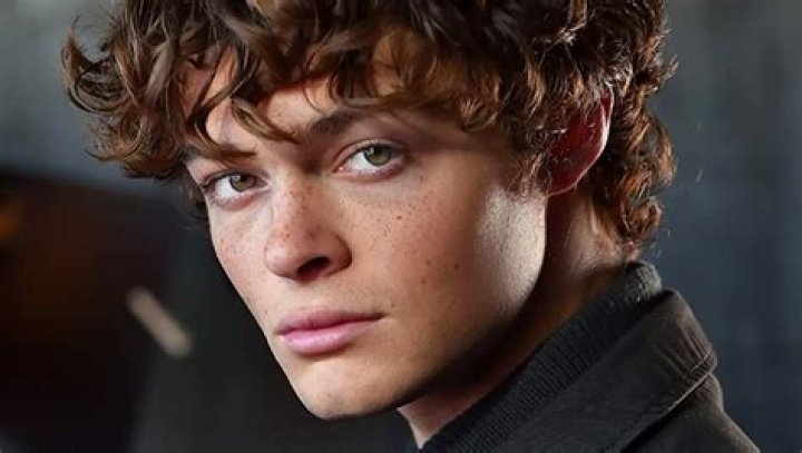 Discover The Hidden Gems Of Tyler Lawrence Gray