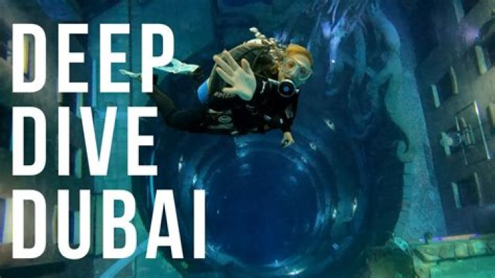 Exclusive Revelations And Deep Dive