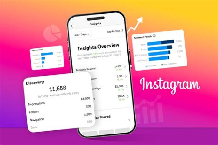 Instagram Account Status Insights And Discoveries