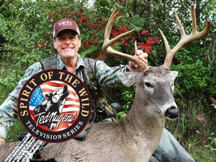 Uncover The Fascinating World Of Ted Nugent: Hunting, Music, And Politics