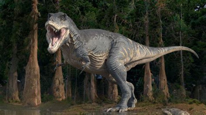 Uncover The Secrets Of T-Rex Arms: Insights And Discoveries